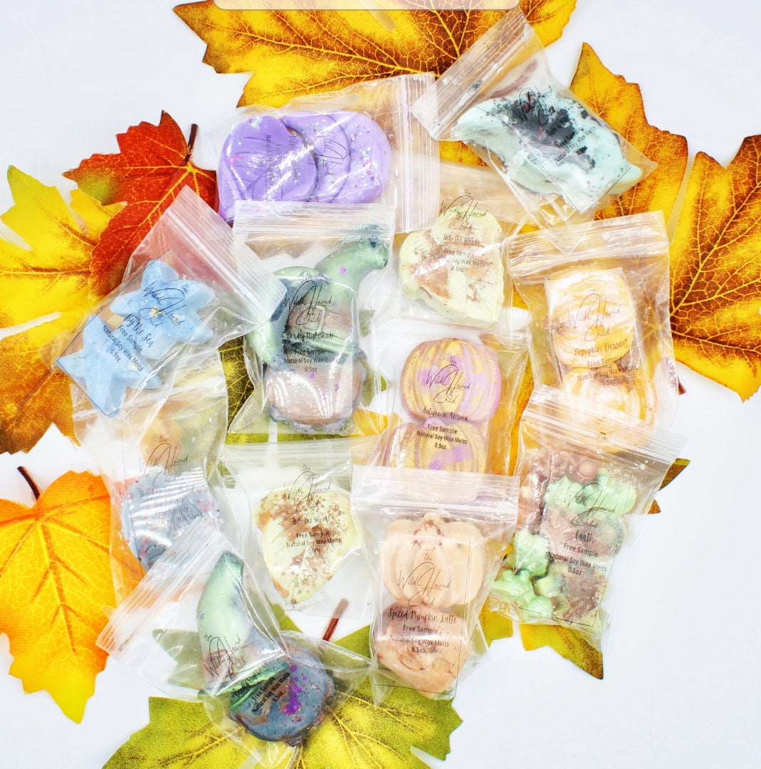 Half ounce soy wax melts in various scents in front of fall decor.